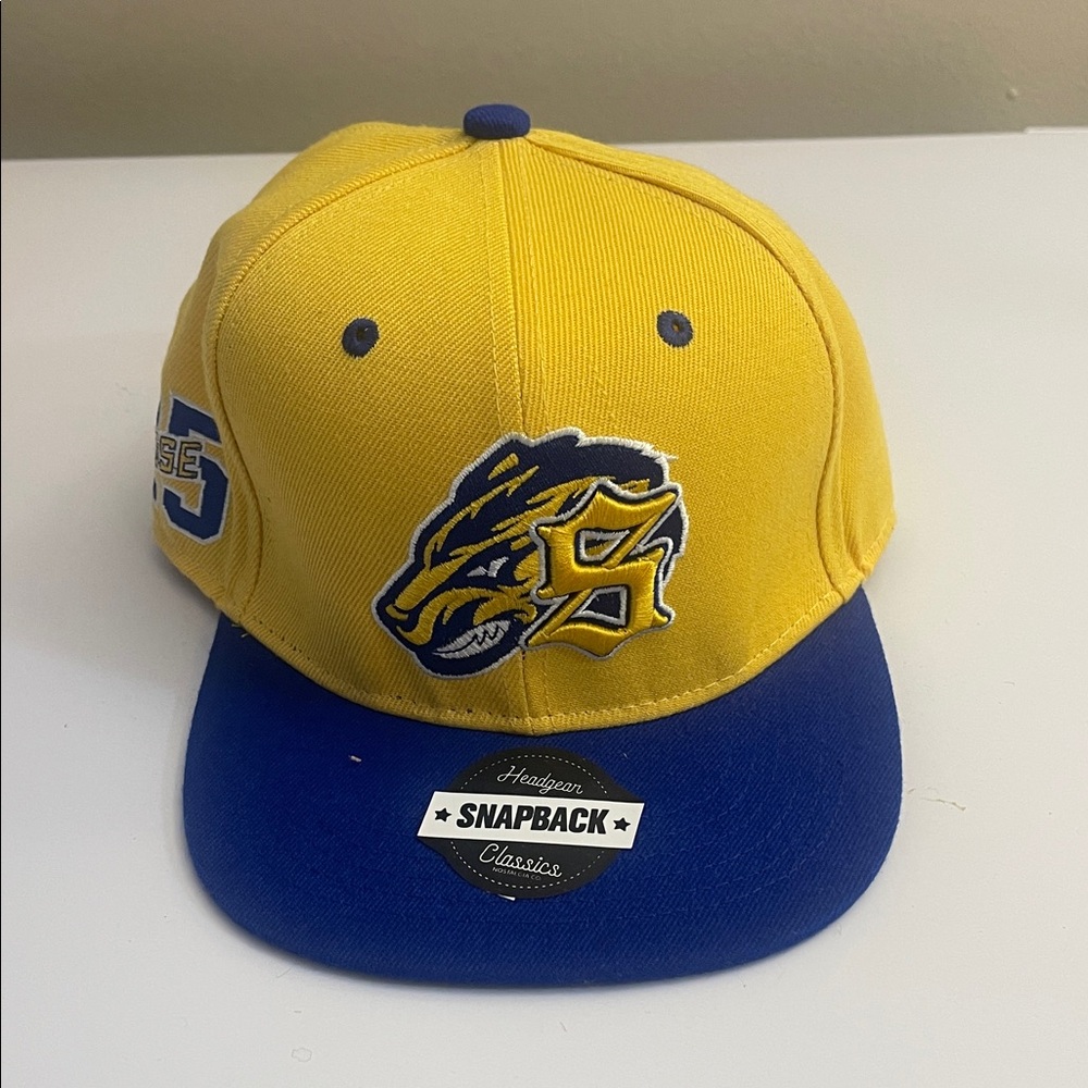 Nashville Predators Yellow and Blue Snapback Hat